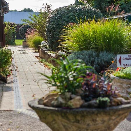 Hotel La Flambee Bergerac Zewnętrze zdjęcie